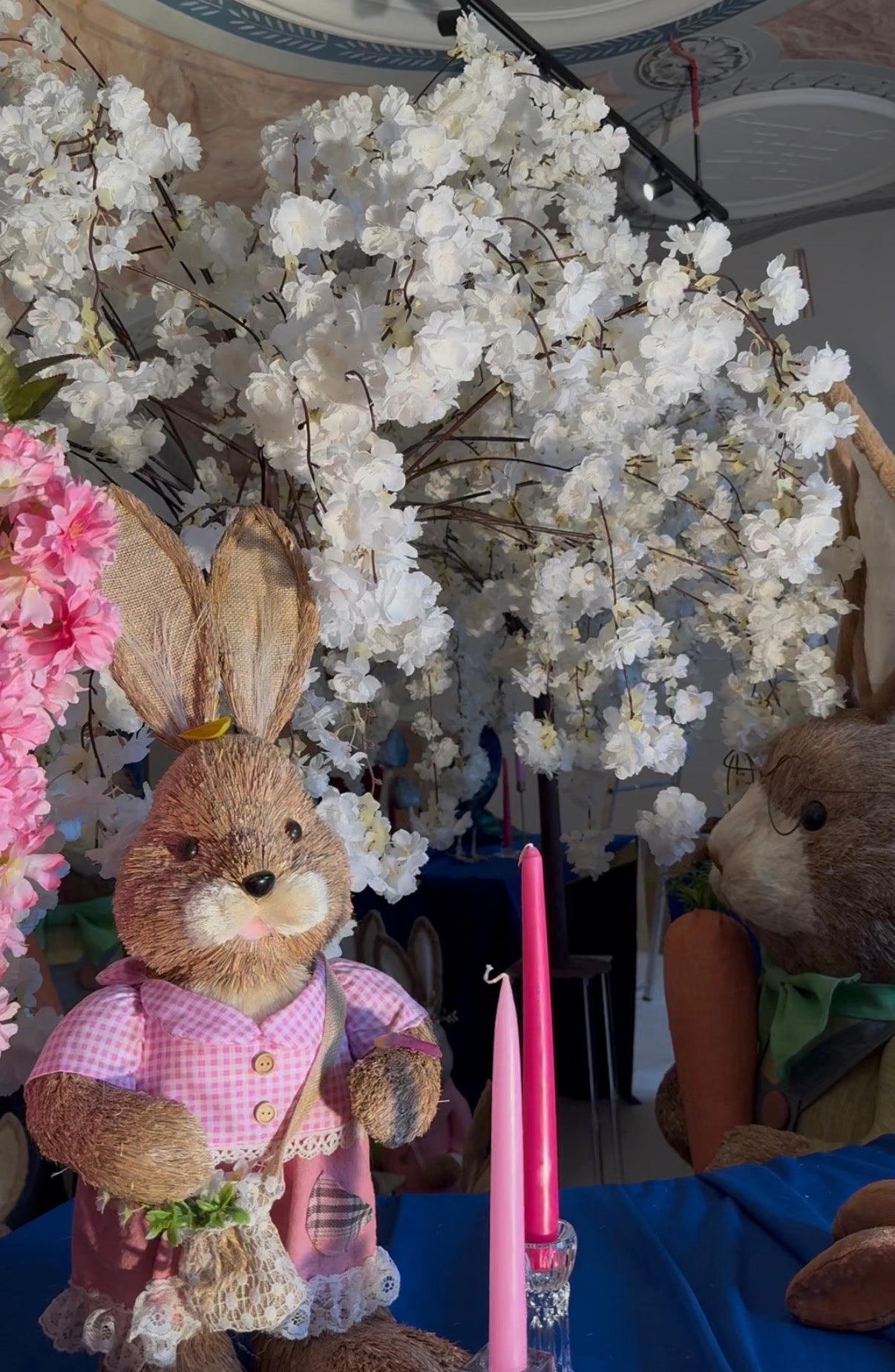 Cseresznye szakura 140x150