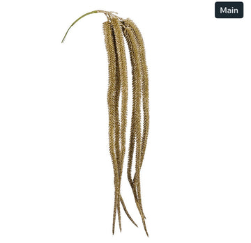 amarantusz 80cm